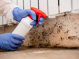 Best Commercial Mold Inspection  in Ilchester, MD